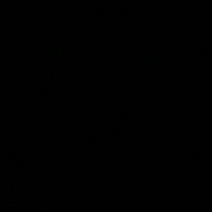 Meet your Posher, Connie